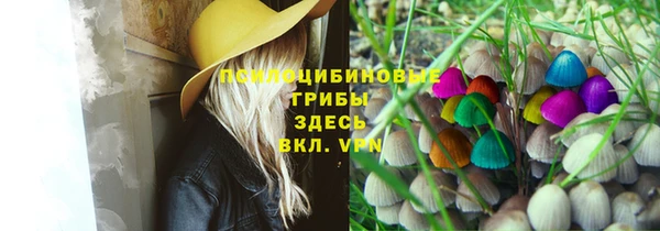 шишки Зеленодольск