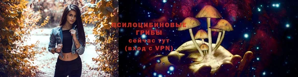 шишки Зеленодольск