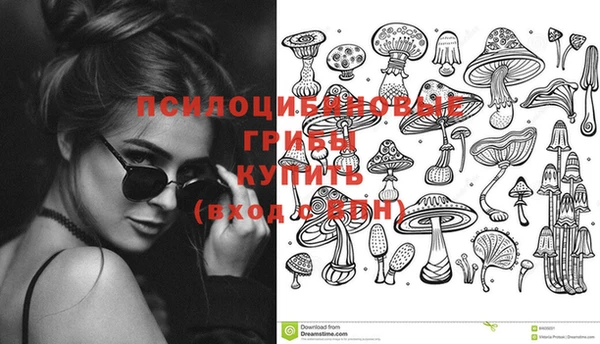 шишки Зеленодольск