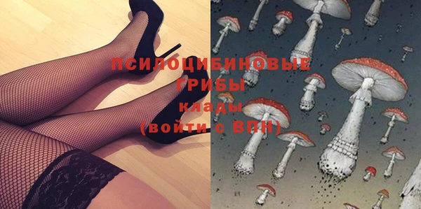 дживик Зерноград